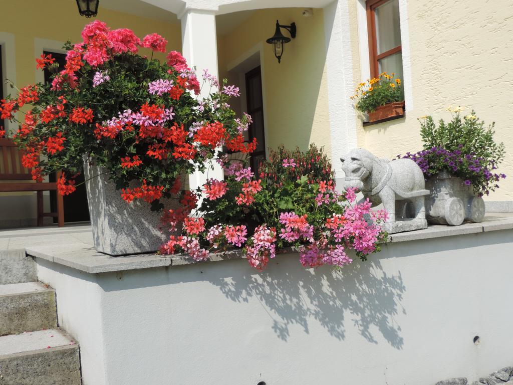 Ferienwohnung Waldoase Am Fuchsenstein Spiegelau Quarto foto