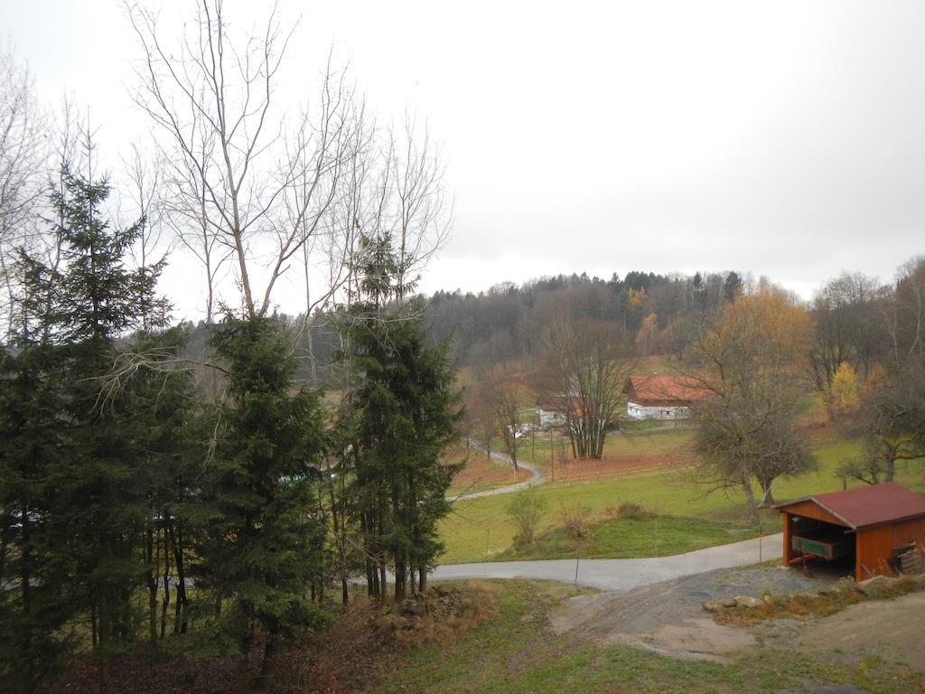 Ferienwohnung Waldoase Am Fuchsenstein Spiegelau Exterior foto