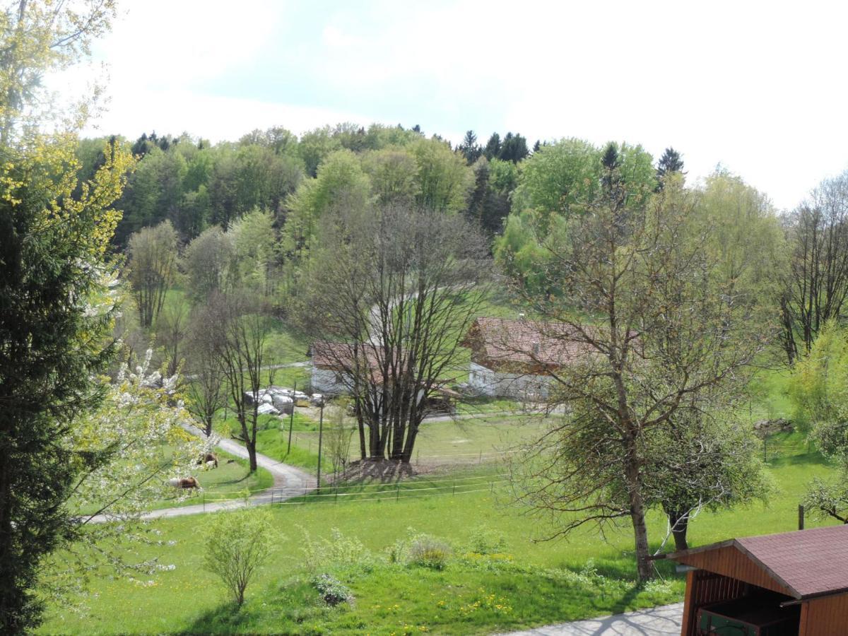 Ferienwohnung Waldoase Am Fuchsenstein Spiegelau Quarto foto